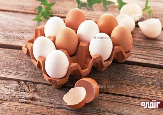 تخم مرغ بهترین منبع پروتئین