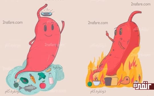 حفظ یک رژیم غذایی سالم