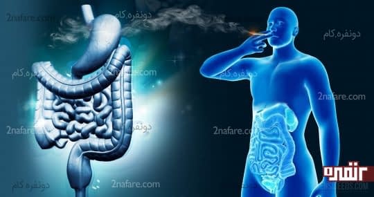 سیگار عامل موثر بر سوزش معده
