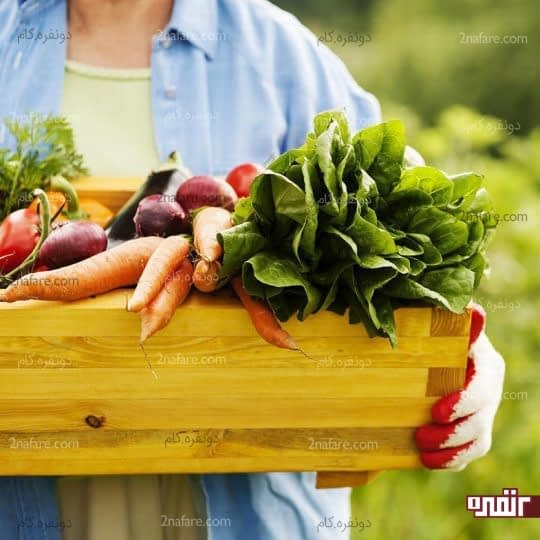 هر چیزی را تازه مصرف کنید