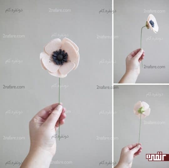 گل شقایق ِ نمدی