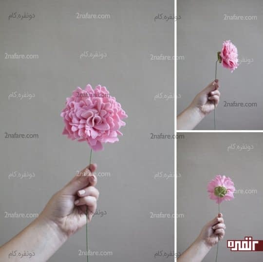 گل صدتومنی ِ نمدی