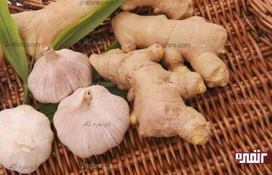 زنجبیل و سیر برای ضد عفونی کردن زبان