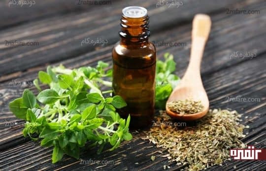 پونه کوهی برای درمان سرفه مزمن