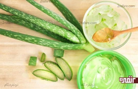 ژل آلوئه ورا برای درمان التهاب زبان