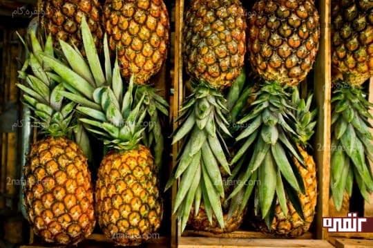 آناناس اسید معده رو تنظیم میکنه