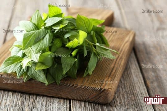 دفع سنگ کلیه با استفاده از ریحان