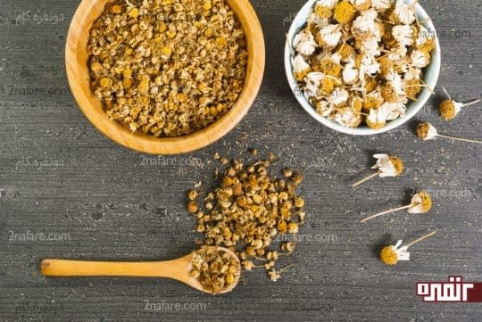 بابونه برای از بین بردن التهاب سیاه سرفه