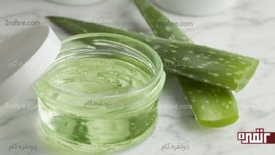 آلوئه ورا و درمان ریزش مو