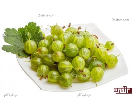 آملا یا گوس بری هندی