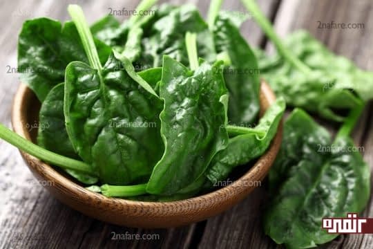 اسفناج منبع روی