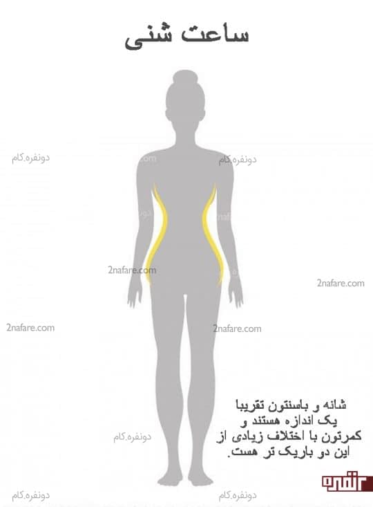 اندام ساعت شنی