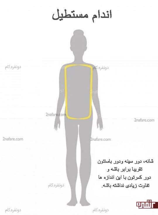 اندام مستطیلی