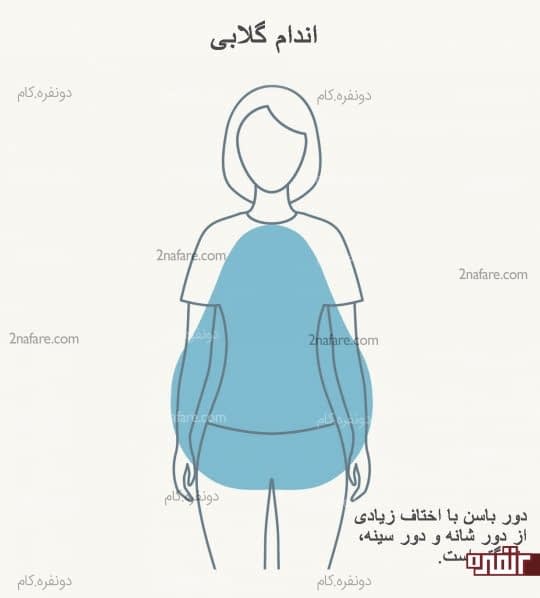 اندام گلابی