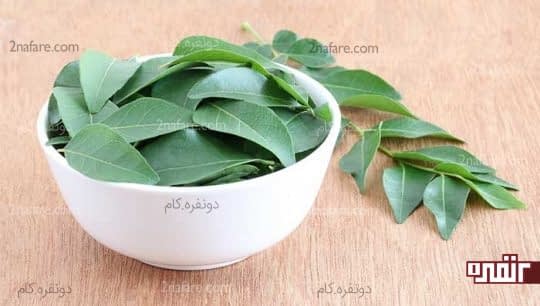 برگ های کاری