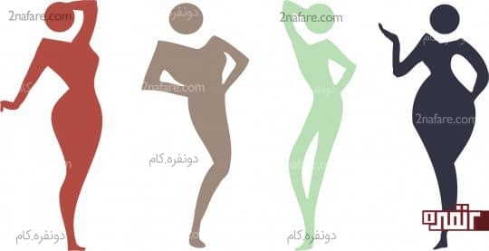 دسته بندی اندام ها