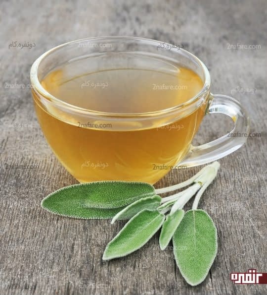 دمنوش مریم گلی