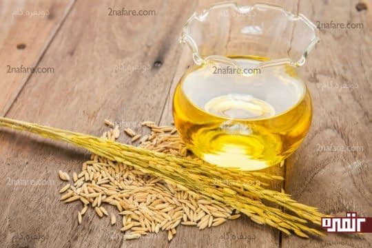 روغن سبوس برنج