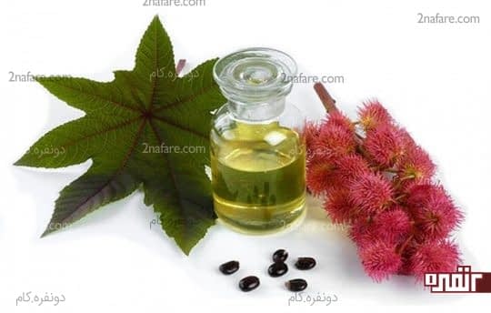 روغن کرچک