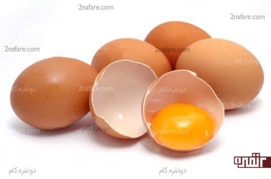 زرده تخم مرغ پروتئین مو