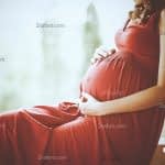نقش جفت در رشد جنین در شکم مادر
