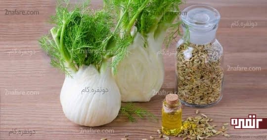 روغن رازیانه و دنیای خاصیت