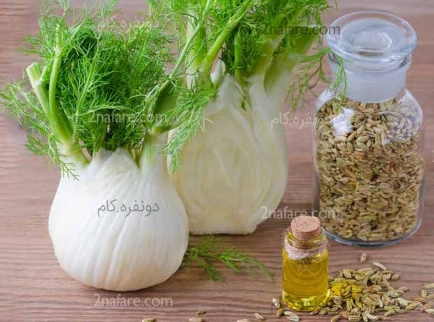 7 فایده روغن رازیانه برای بدن روغن رازیانه و دنیای خاصیت