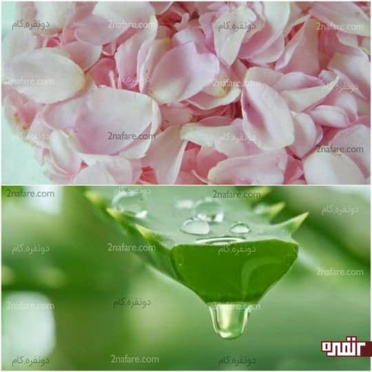 استفاده از ژل آلوورا و گلاب برای روشن تر شدن پوست