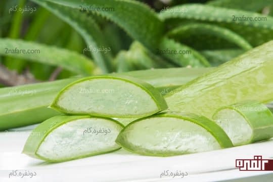 استفاده از آلوئه ورا برای ناپدید کردن خال های پوستی
