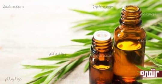 روغن درخت چای