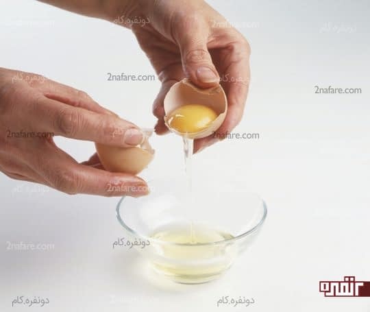 سفیده تخم مرغ