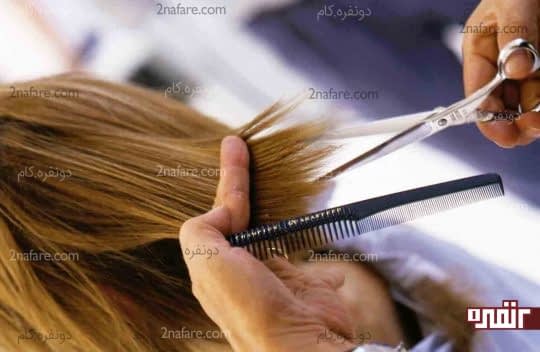 کوتاه کردن مرتب مو به رشد اون کمکی نمیکنه