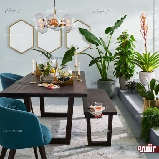 آینه و گیاهان در غذاخوری
