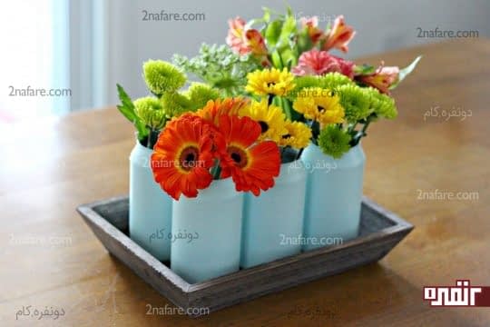 شادابی گل با تغذیه از قند نوشابه