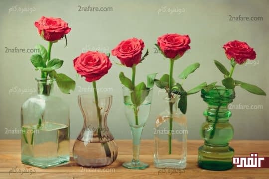 شفافیت آب گلدان و شادابی گلها