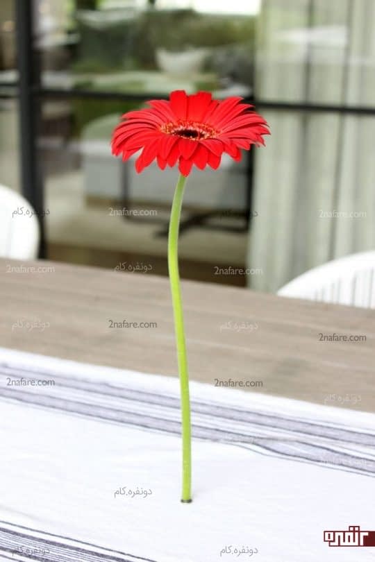 نگهدارنده مغناطیسی گل
