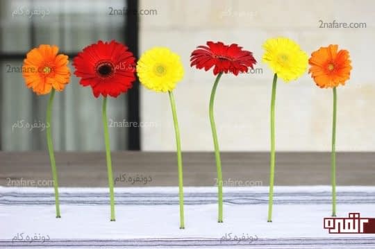 نگهدارنده مغناطیسی گلهای طبیعی