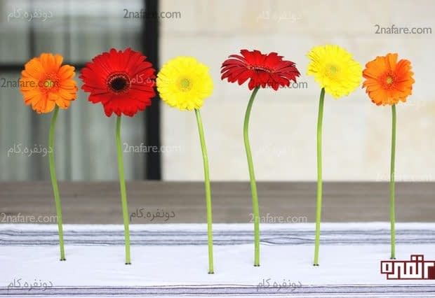 یک ایده ی جالب برای تزیین میز با گلهای طبیعی نگهدارنده مغناطیسی گلهای طبیعی