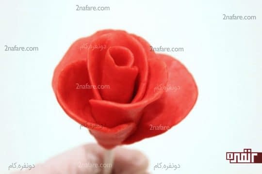 چسباندن تمامی گلبرگ ها