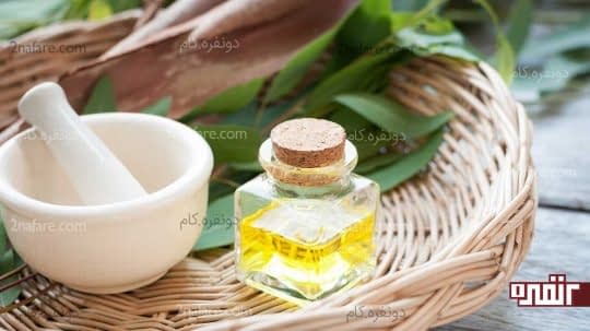 9خواص روغن لیمو و اکالیپتوس برای بدن