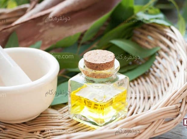 9 خاصیت روغن لیمو و اکالیپتوس برای بدن 9خواص روغن لیمو و اکالیپتوس برای بدن