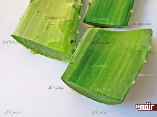 آلوئه ورا