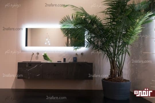 استفاده از درختان تزیینی در حمام