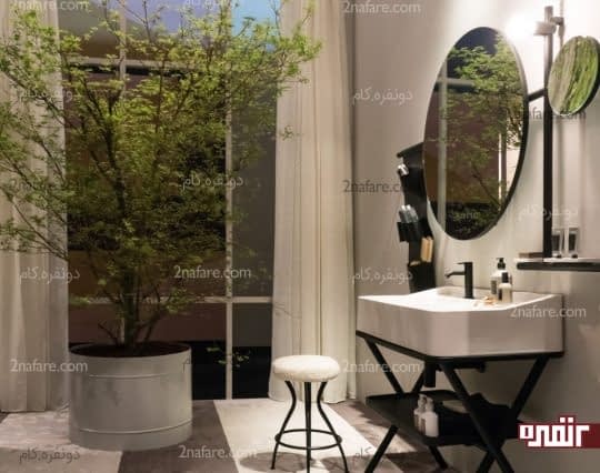 درختچه های تزیینی بزرگ برای زیبایی حمام