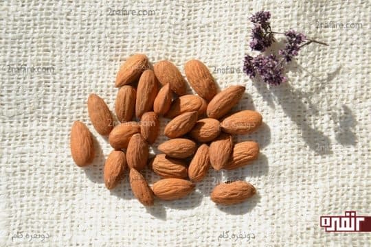 روغن بادام