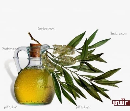 روغن درخت چای