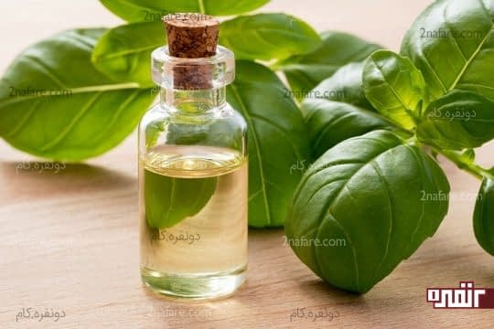 روغن ریحان
