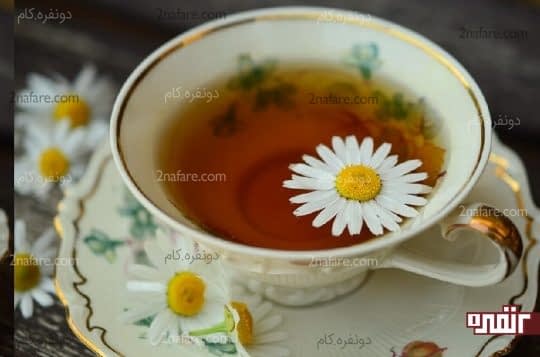 چای قاصدک خاصیت دیورتیک دارد