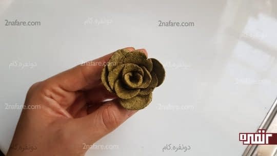 آماده شدن گل رز