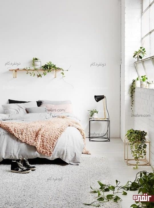 استفاده از گیاهان در نقاط مختلف اتاق خواب